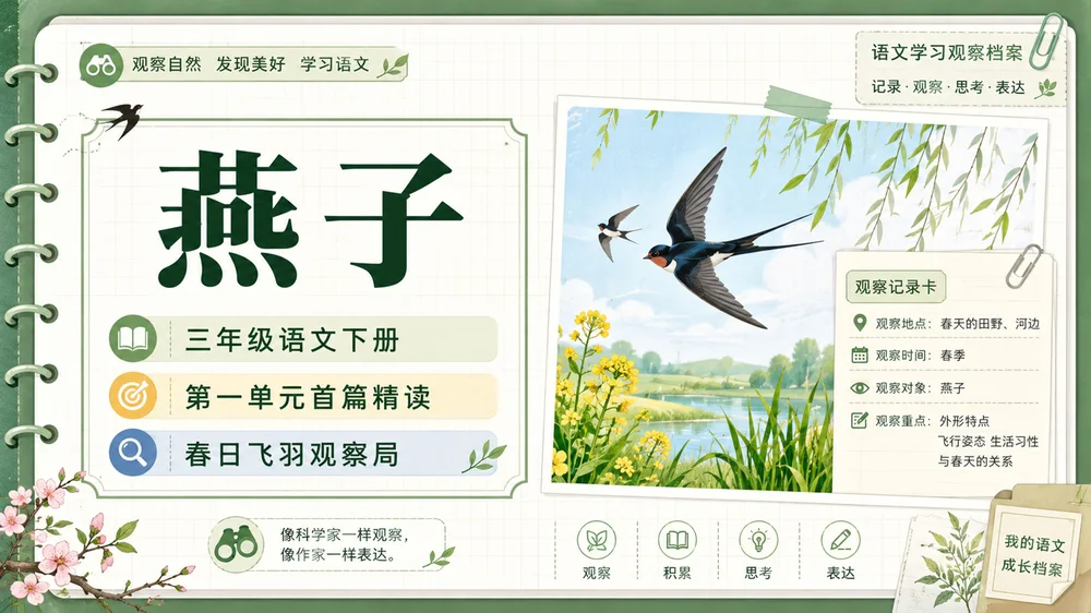【拿来即上】统编版三年级下册《燕子》精美PPT课件模板 咬文嚼字+小练笔（全景实战版）