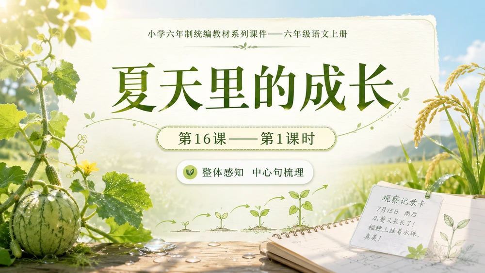 小学六年制统编教材系列课件——六年级语文上册第16课（1）：夏天里的成长