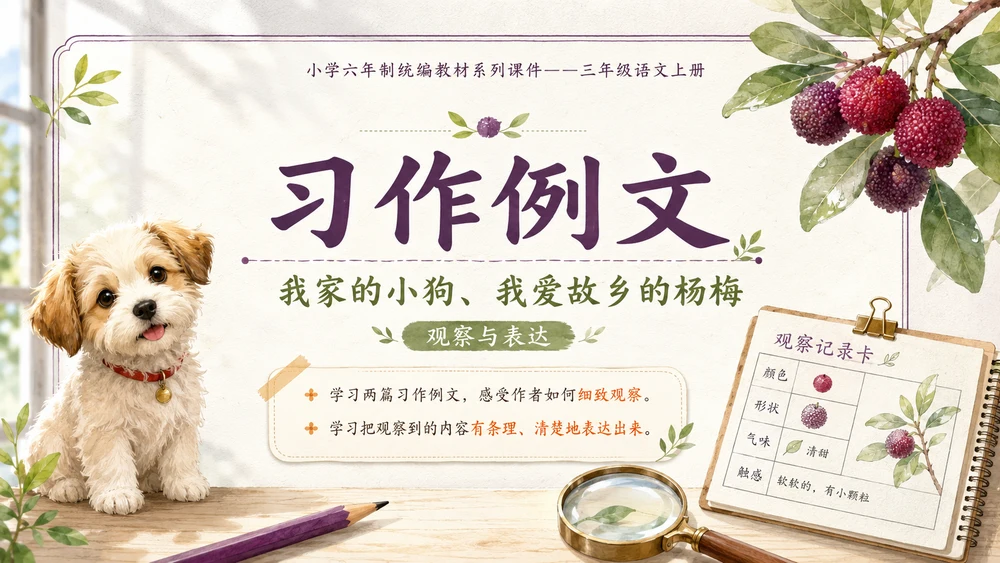 小学六年制统编教材系列课件——三年级语文上册习作例文：我家的小狗、我爱故乡的杨梅