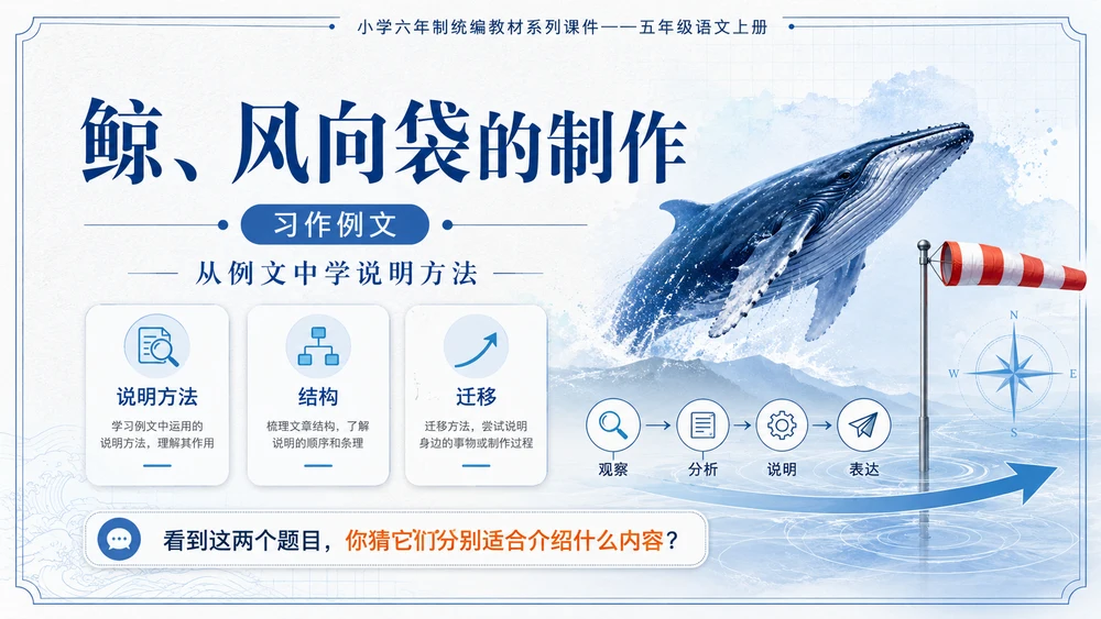 小学六年制统编教材系列课件——五年级语文上册：习作例文：鲸、风向袋的制作