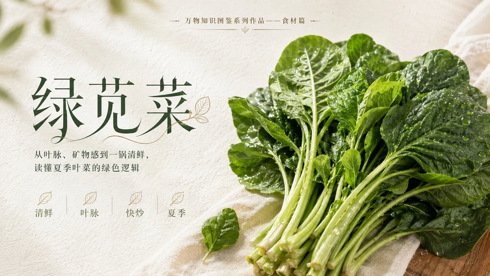 万物知识图鉴系列作品PPT——绿苋菜