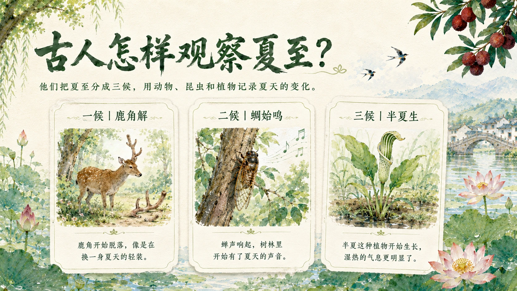 节气有知·夏至｜为什么白天最长？ - 预览图3