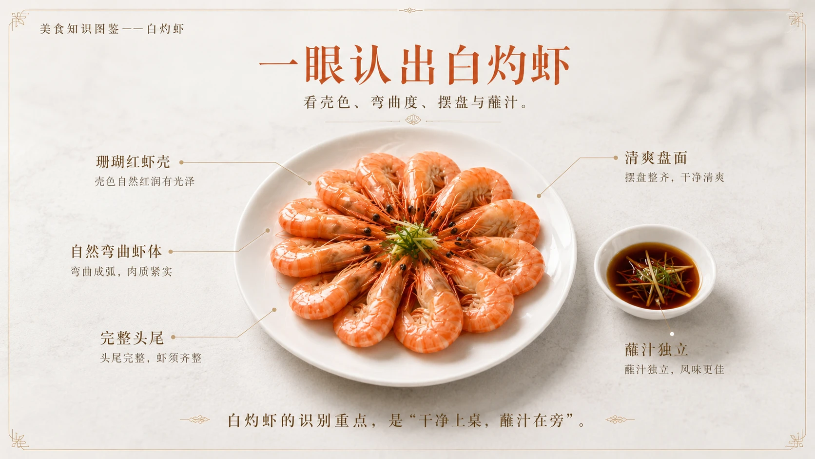 万物知识图鉴系列作品PPT——白灼虾 - 预览图3