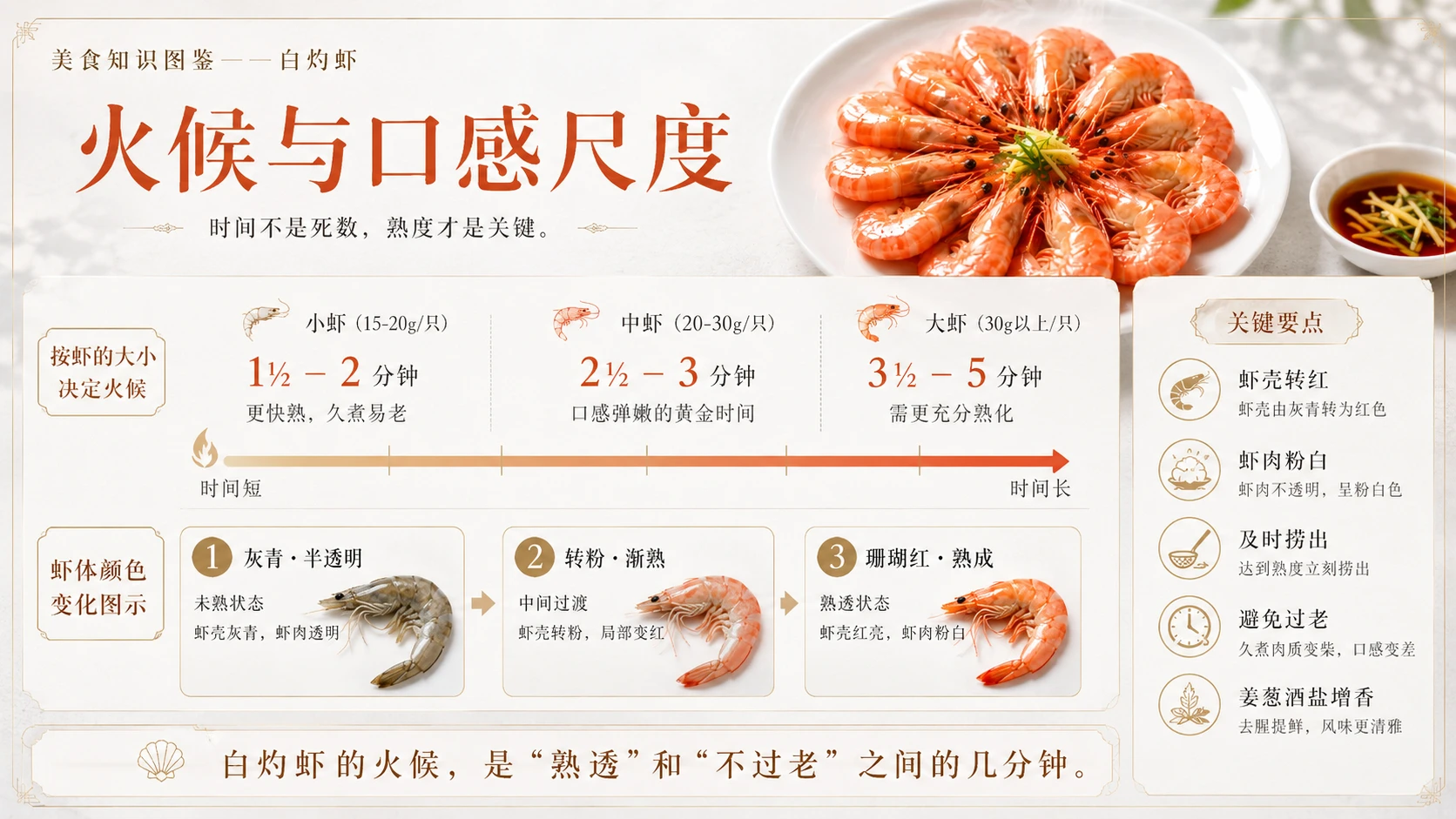 万物知识图鉴系列作品PPT——白灼虾 - 预览图4