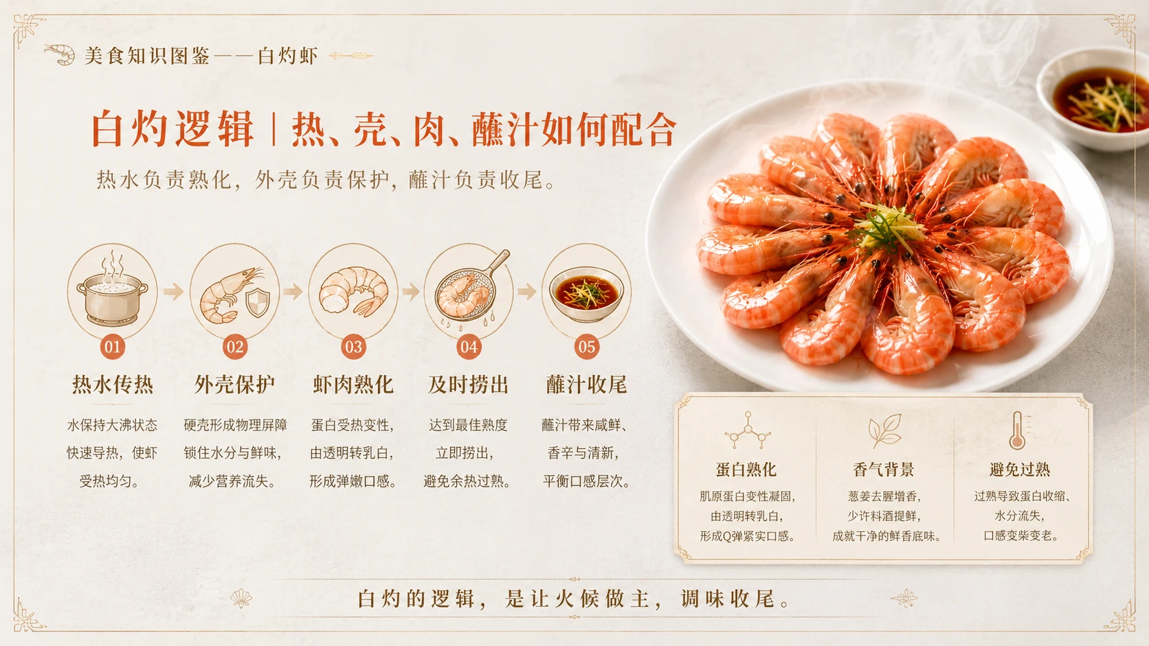 万物知识图鉴系列作品PPT——白灼虾 - 预览图6