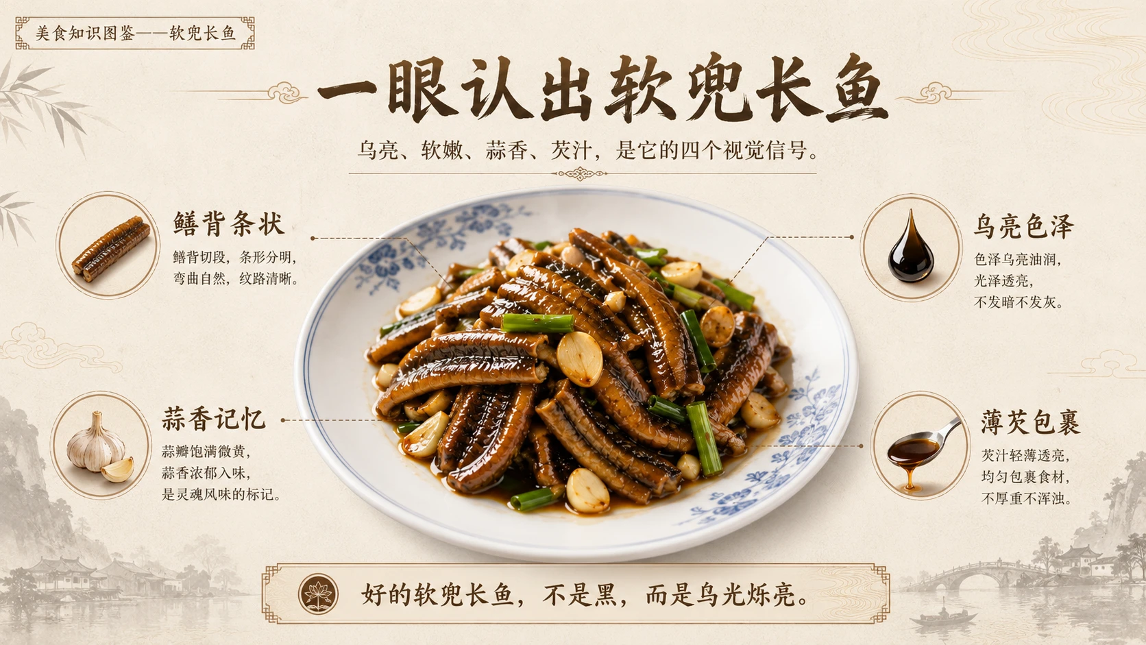 万物知识图鉴系列作品PPT——软兜长鱼 - 预览图3
