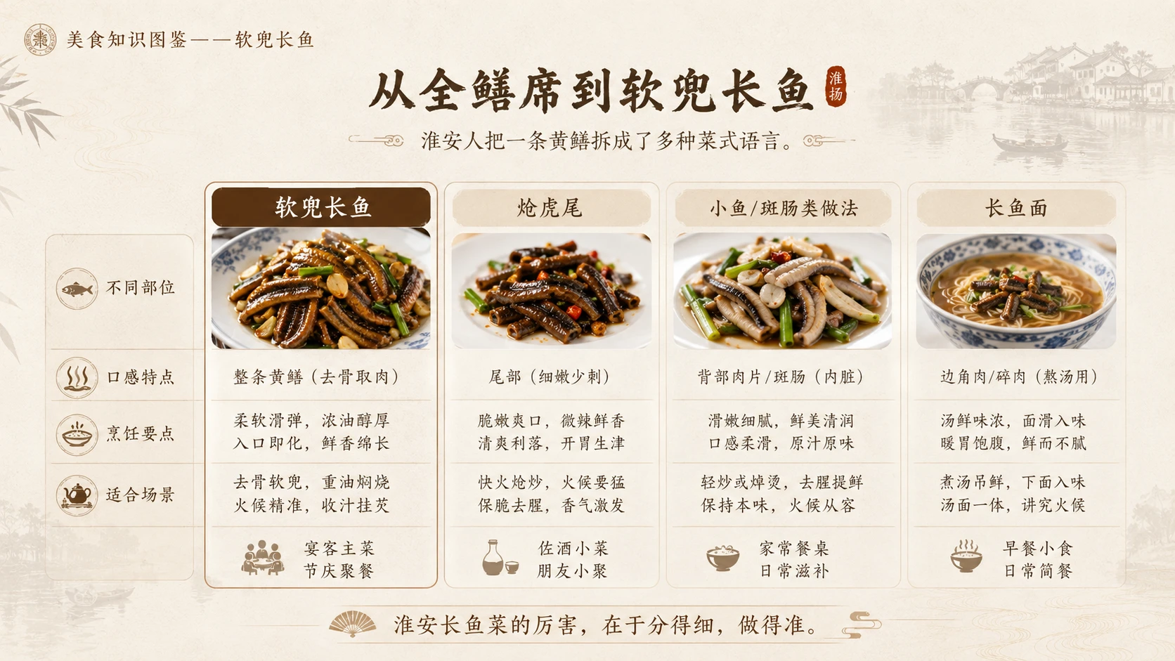 万物知识图鉴系列作品PPT——软兜长鱼 - 预览图8