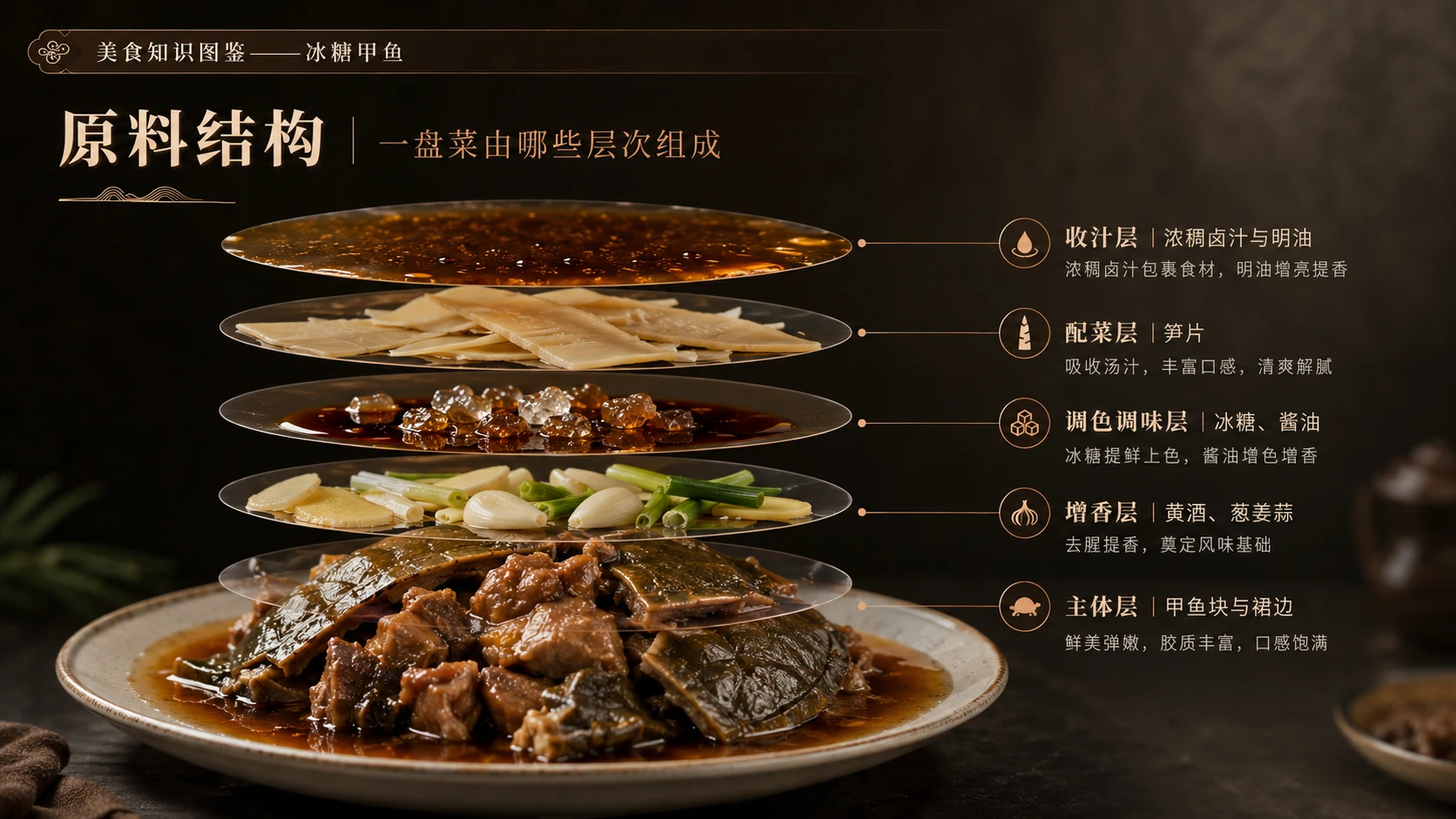 万物知识图鉴系列作品PPT——冰糖甲鱼 - 预览图5