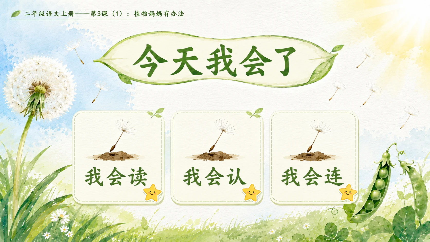 小学六年制统编教材系列课件——二年级语文上册第3课（1）：植物妈妈有办法 - 预览图11
