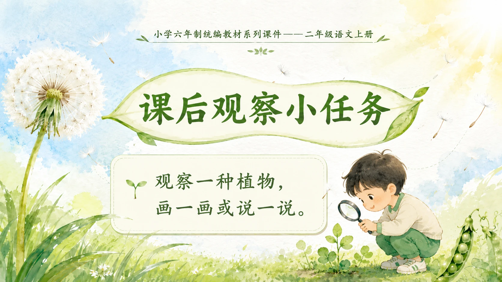 小学六年制统编教材系列课件——二年级语文上册第3课（1）：植物妈妈有办法 - 预览图12