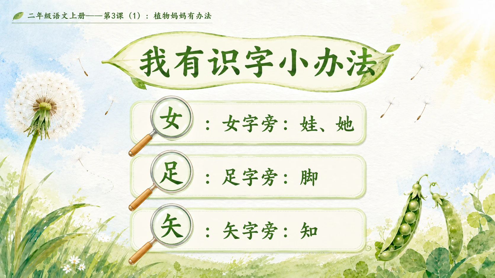 小学六年制统编教材系列课件——二年级语文上册第3课（1）：植物妈妈有办法 - 预览图5