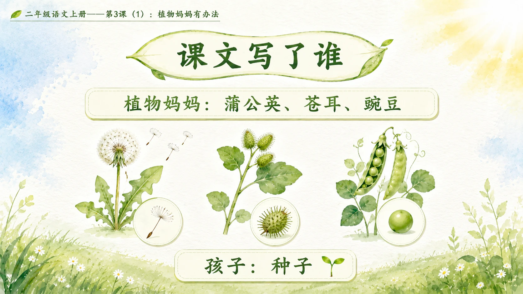 小学六年制统编教材系列课件——二年级语文上册第3课（1）：植物妈妈有办法 - 预览图7