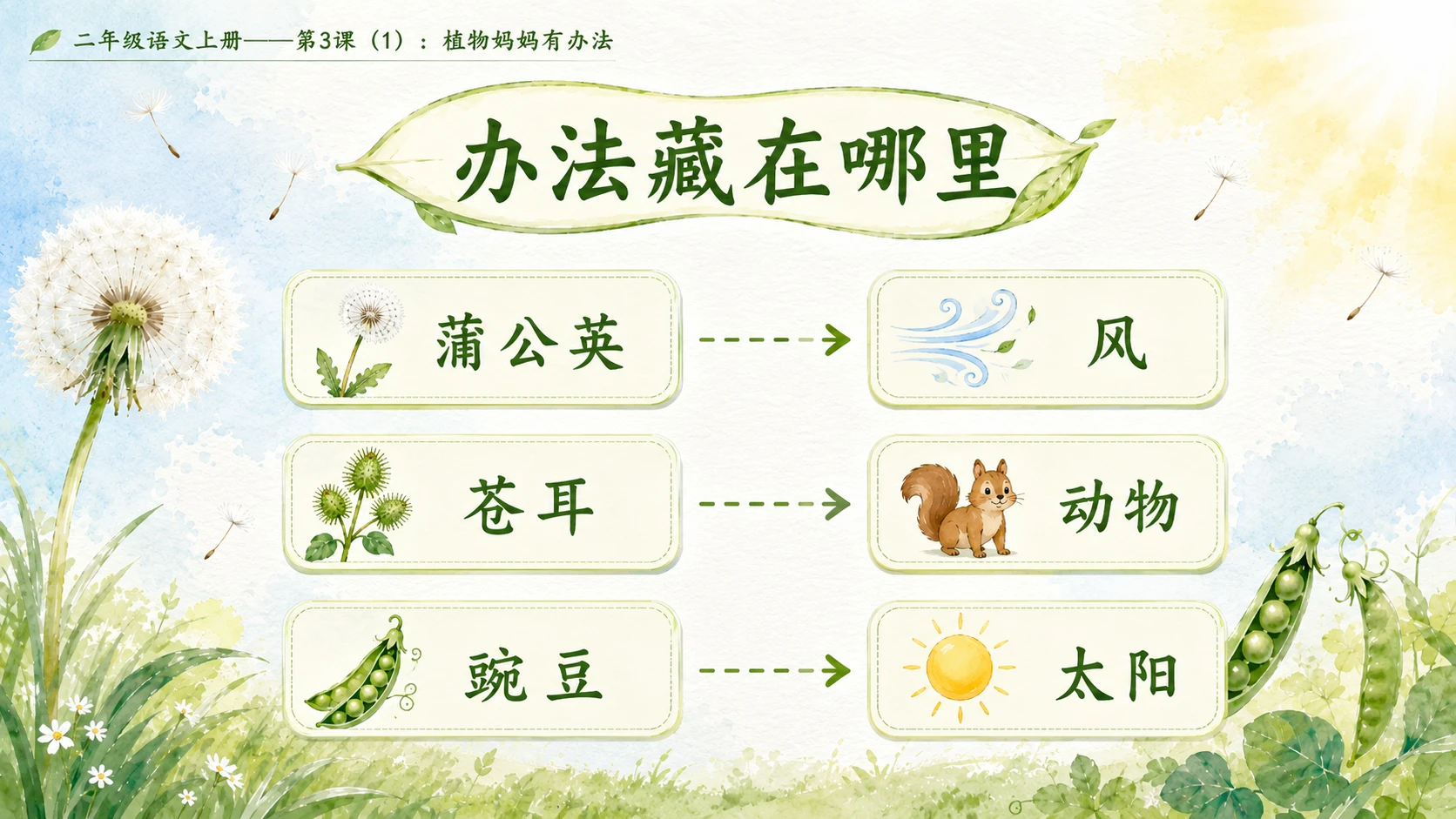 小学六年制统编教材系列课件——二年级语文上册第3课（1）：植物妈妈有办法 - 预览图8