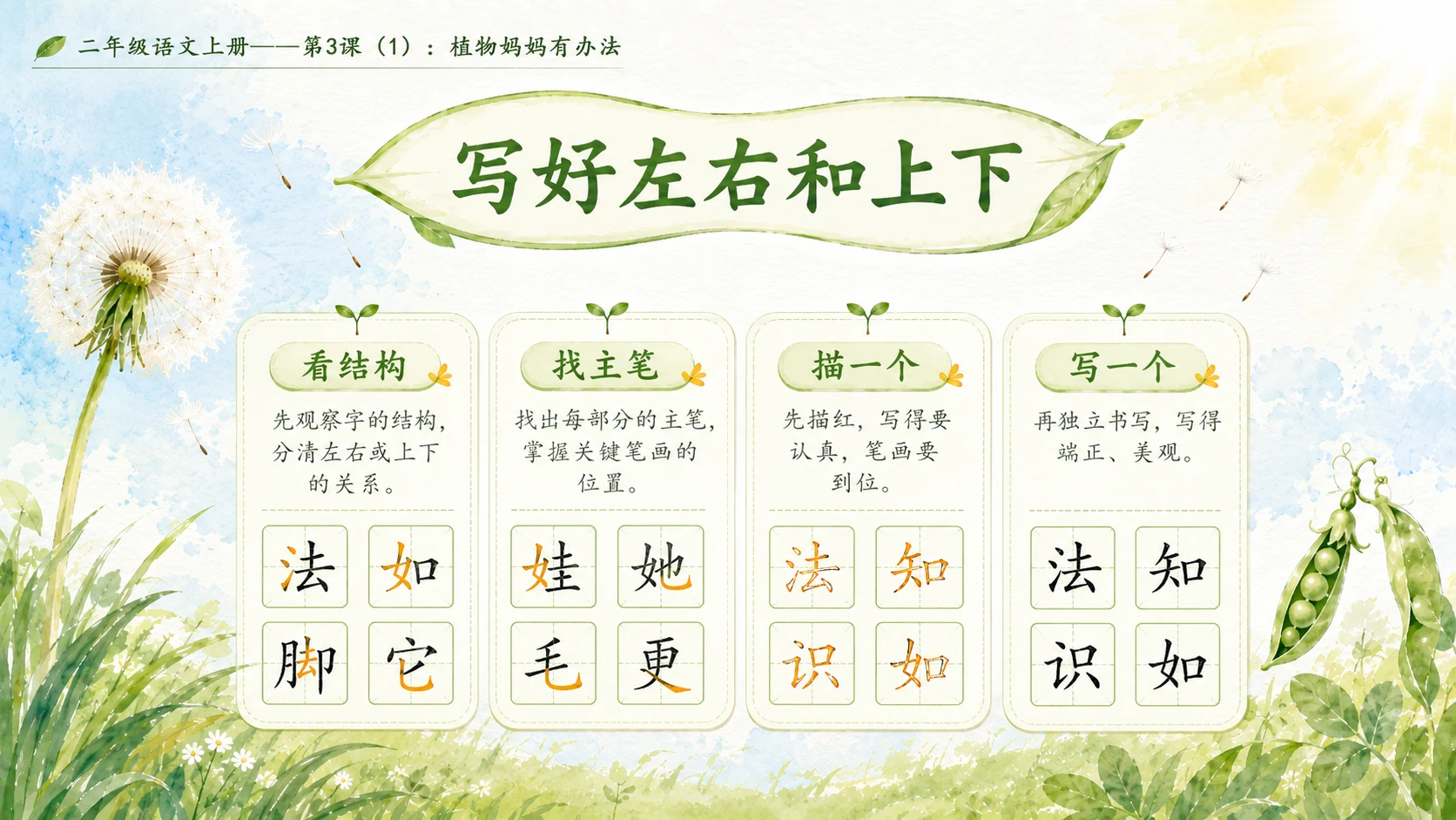 小学六年制统编教材系列课件——二年级语文上册第3课（1）：植物妈妈有办法 - 预览图10