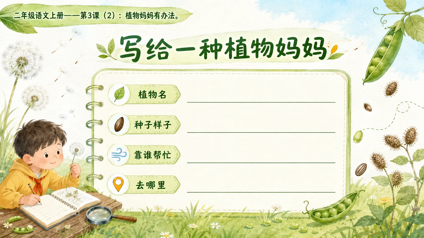 小学六年制统编教材系列课件——二年级语文上册第3课（2）：植物妈妈有办法 - 预览图1