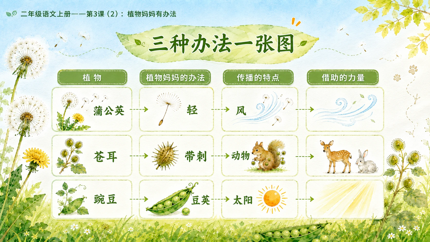小学六年制统编教材系列课件——二年级语文上册第3课（2）：植物妈妈有办法 - 预览图12