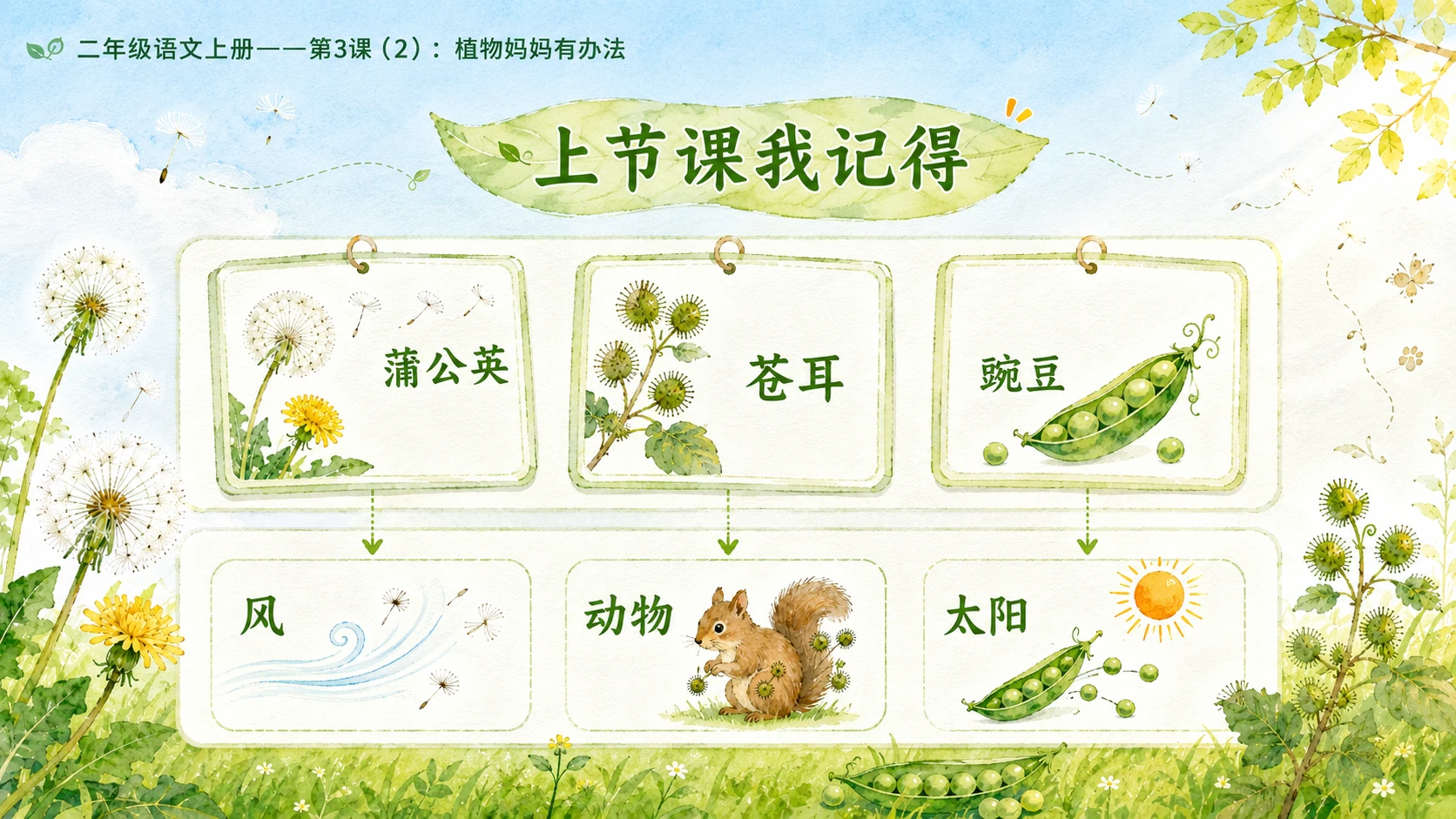 小学六年制统编教材系列课件——二年级语文上册第3课（2）：植物妈妈有办法 - 预览图4