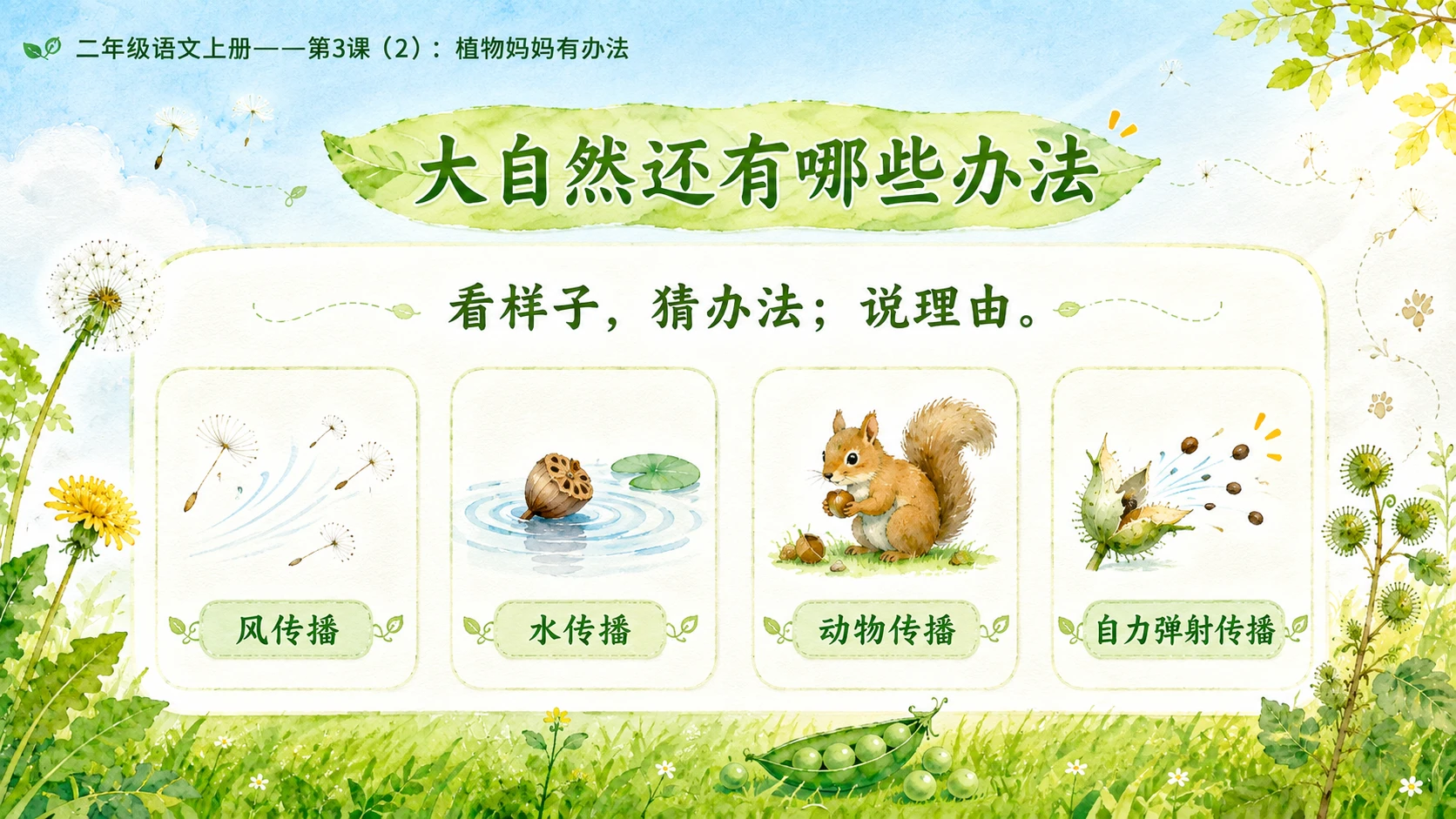 小学六年制统编教材系列课件——二年级语文上册第3课（2）：植物妈妈有办法 - 预览图6