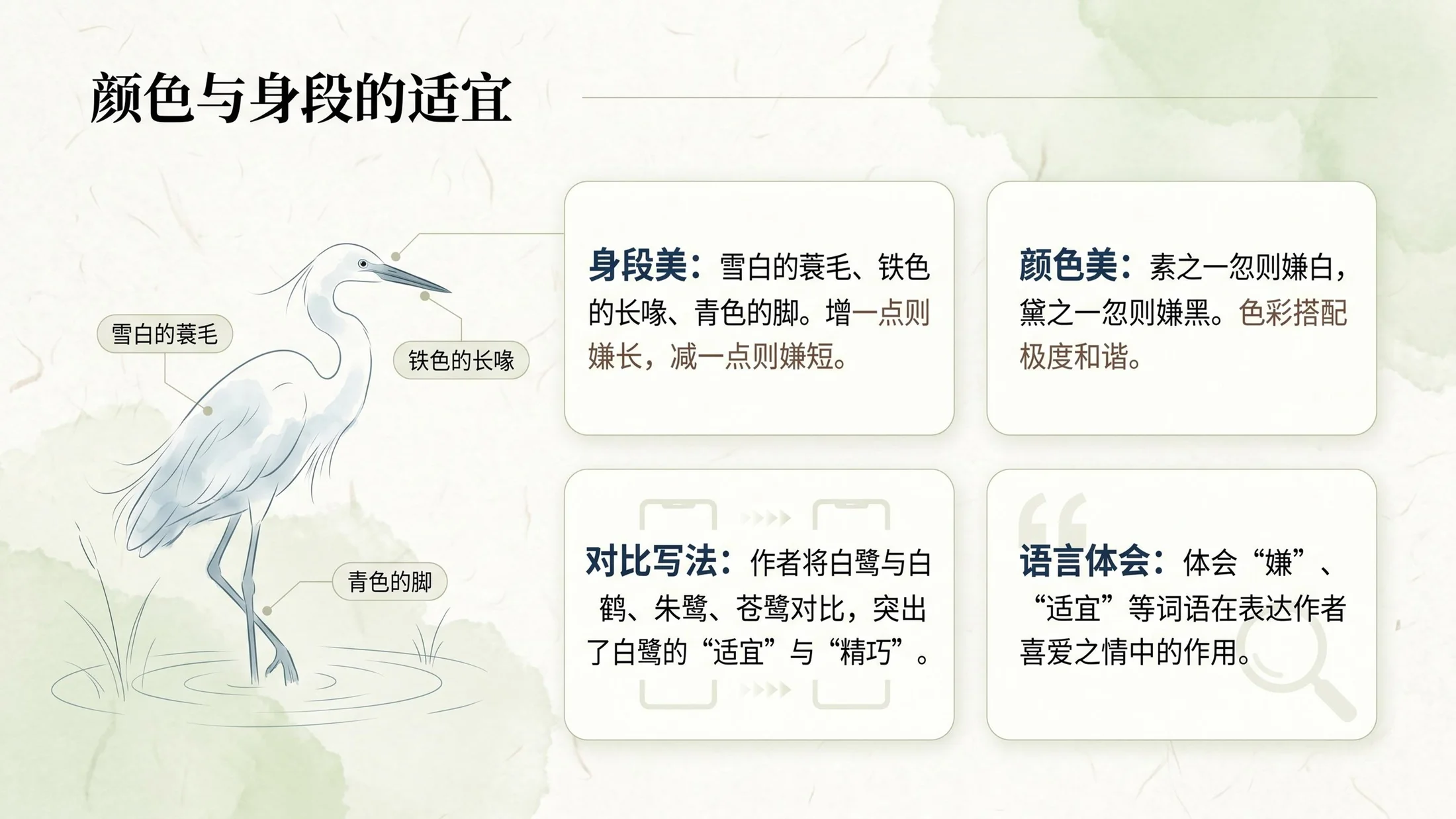 小学六年制统编教材系列课件——五年级语文上册第1课（1）：白鹭 - 预览图9