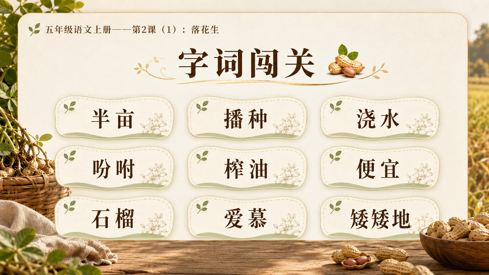 小学六年制统编教材系列课件——五年级语文上册第2课（1）：落花生 - 预览图5