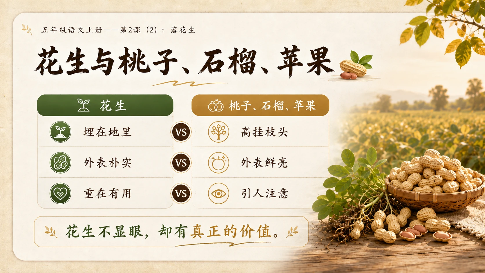 小学六年制统编教材系列课件——五年级语文上册第2课（2）：落花生 - 预览图4