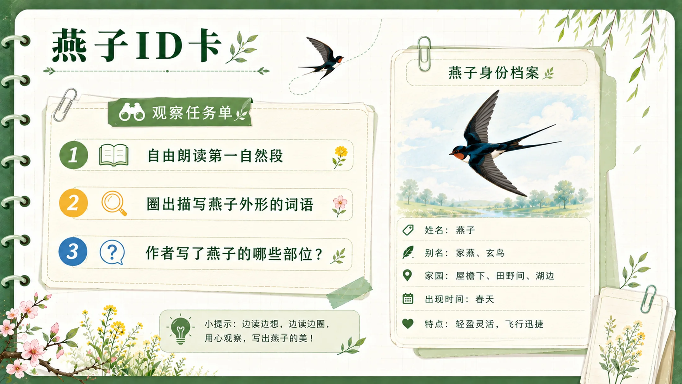 【拿来即上】统编版三年级下册《燕子》精美PPT课件模板 咬文嚼字+小练笔（全景实战版） - 预览图11