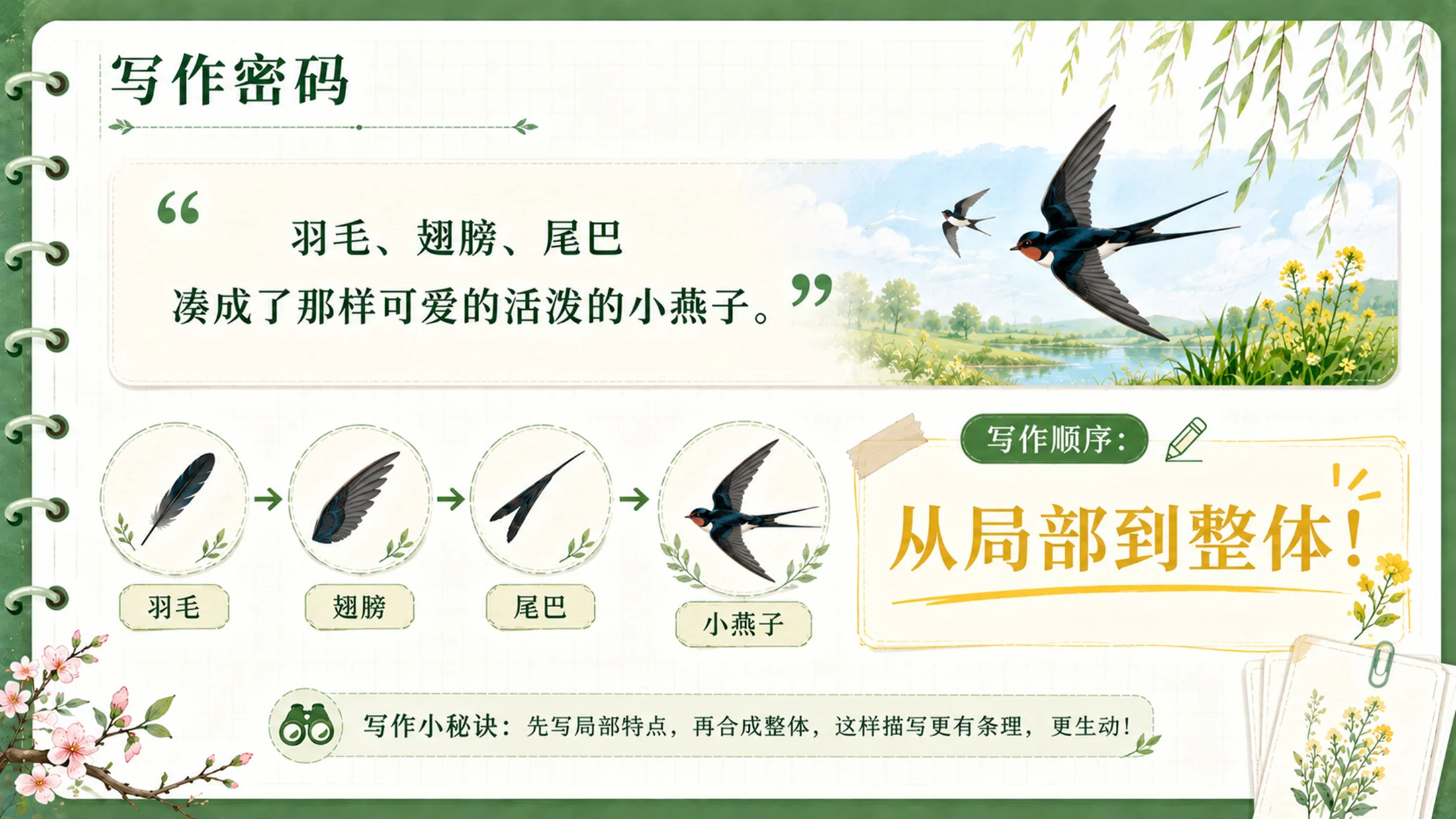 【拿来即上】统编版三年级下册《燕子》精美PPT课件模板 咬文嚼字+小练笔（全景实战版） - 预览图13
