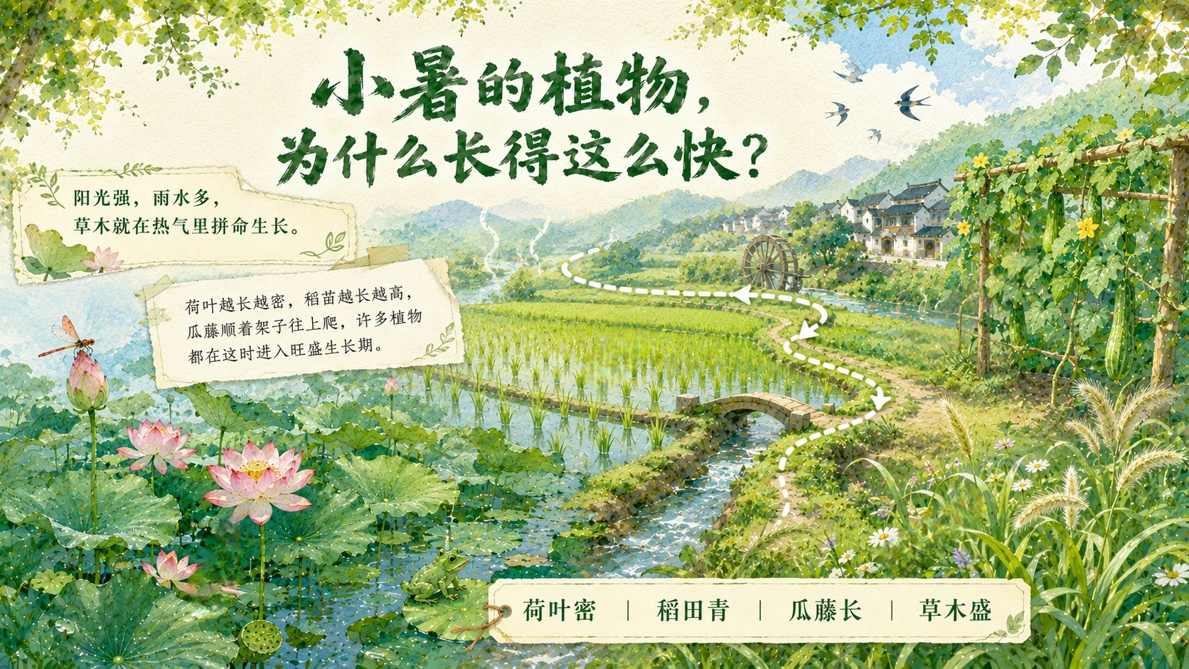 节气有知·小暑 PPT｜热气从哪里来？ - 预览图4