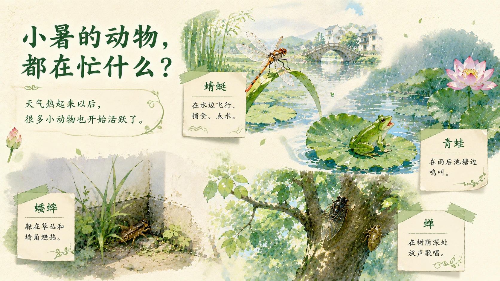 节气有知·小暑 PPT｜热气从哪里来？ - 预览图5