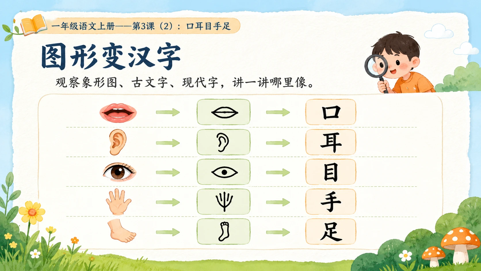 小学六年制统编教材系列课件——一年级语文上册第3课（2）：口耳目手足 - 预览图6