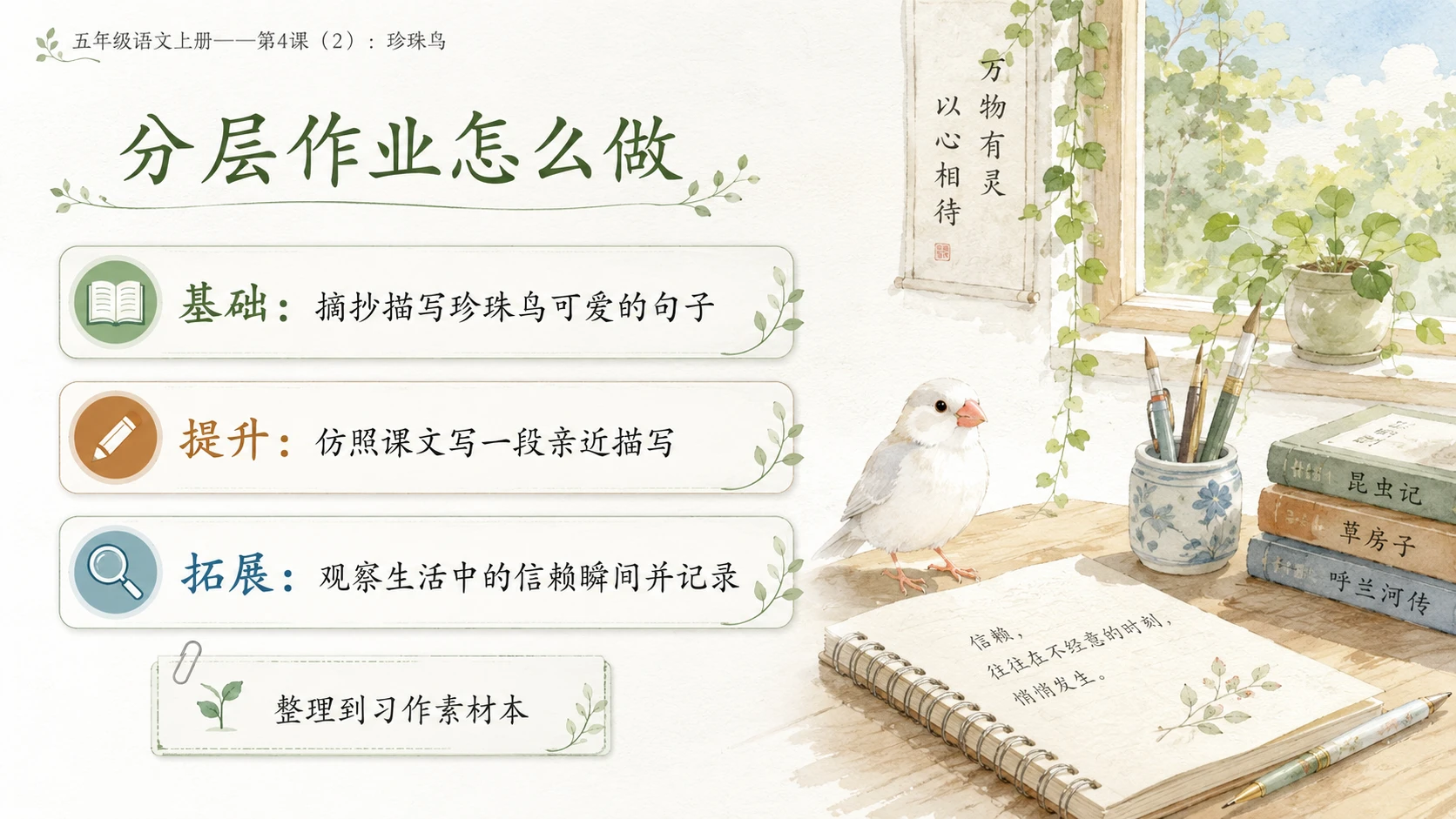 小学六年制统编教材系列课件——五年级语文上册第4课（2）：珍珠鸟 - 预览图11
