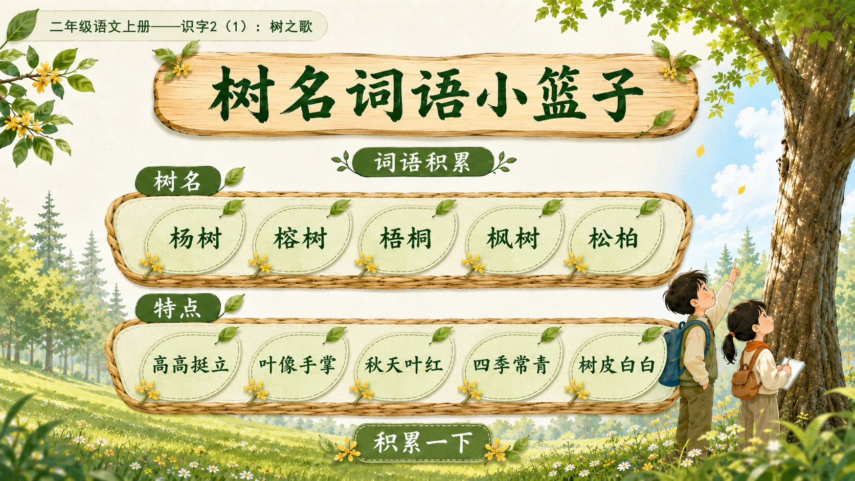小学六年制统编教材系列课件——二年级语文上册：识字2 树之歌（1） - 预览图11