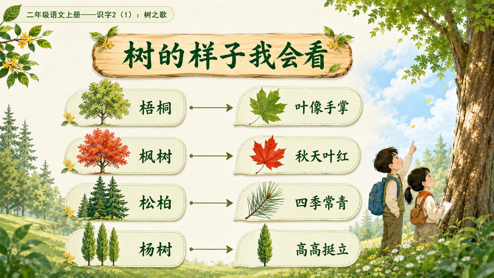 小学六年制统编教材系列课件——二年级语文上册：识字2 树之歌（1） - 预览图7
