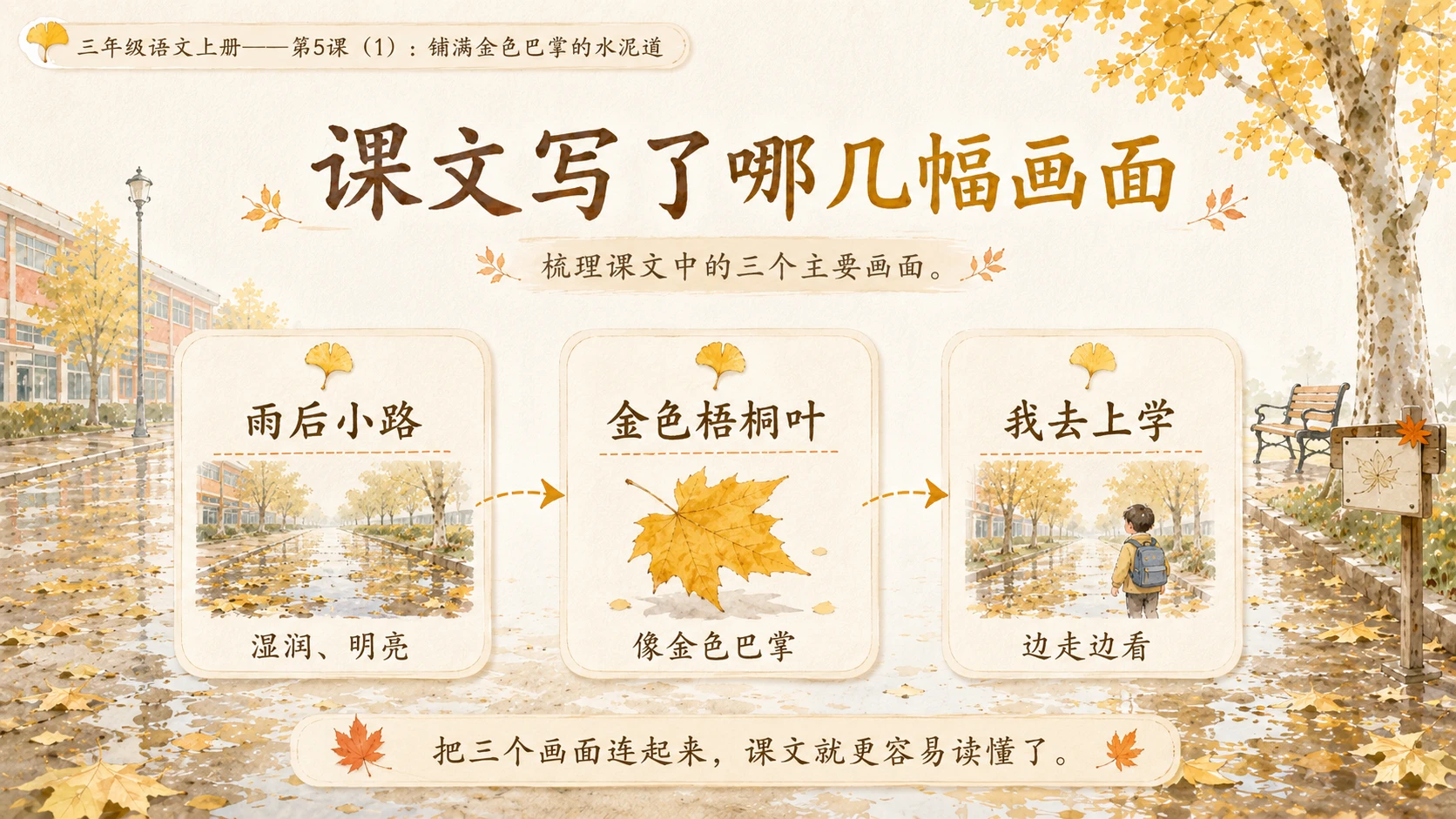 小学六年制统编教材系列课件——三年级语文上册第5课（1）：铺满金色巴掌的水泥道 - 预览图11