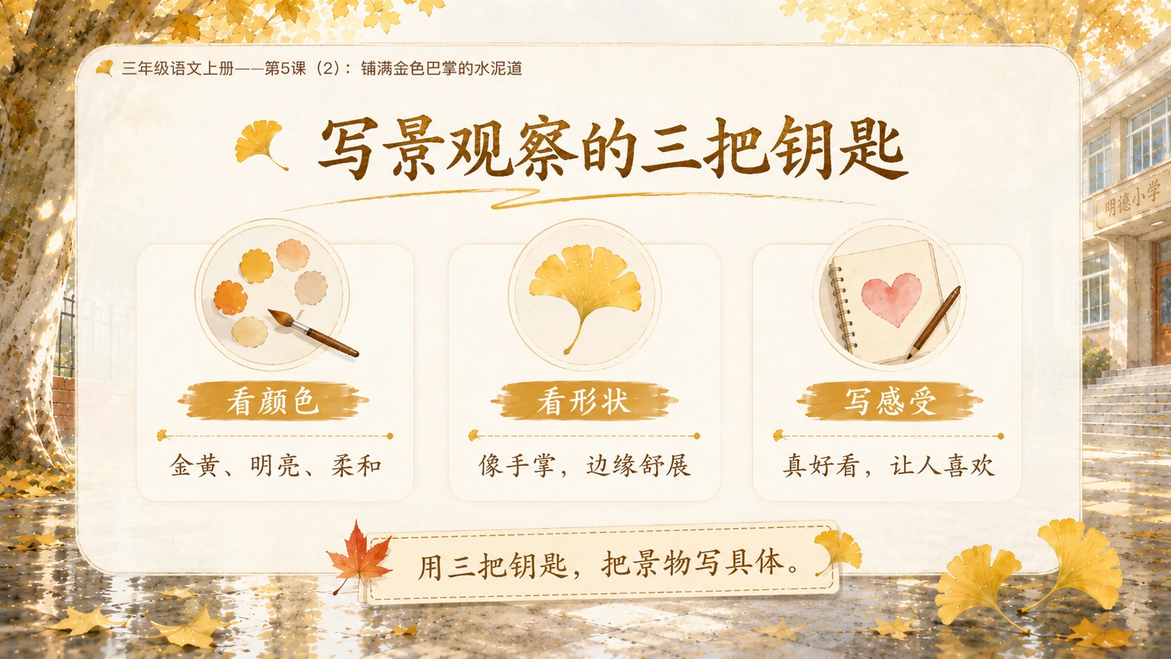 小学六年制统编教材系列课件——三年级语文上册第5课（2）：铺满金色巴掌的水泥道 - 预览图12