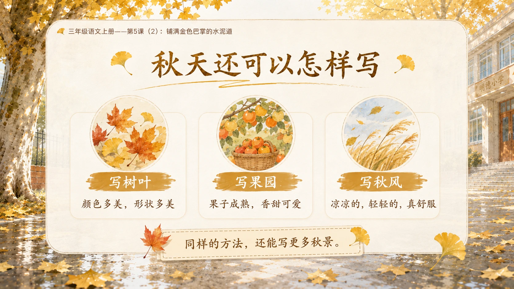 小学六年制统编教材系列课件——三年级语文上册第5课（2）：铺满金色巴掌的水泥道 - 预览图18