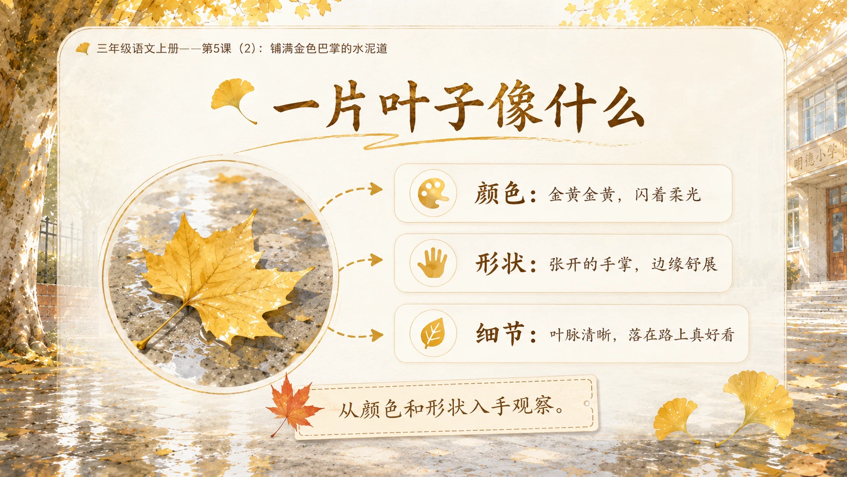 小学六年制统编教材系列课件——三年级语文上册第5课（2）：铺满金色巴掌的水泥道 - 预览图5