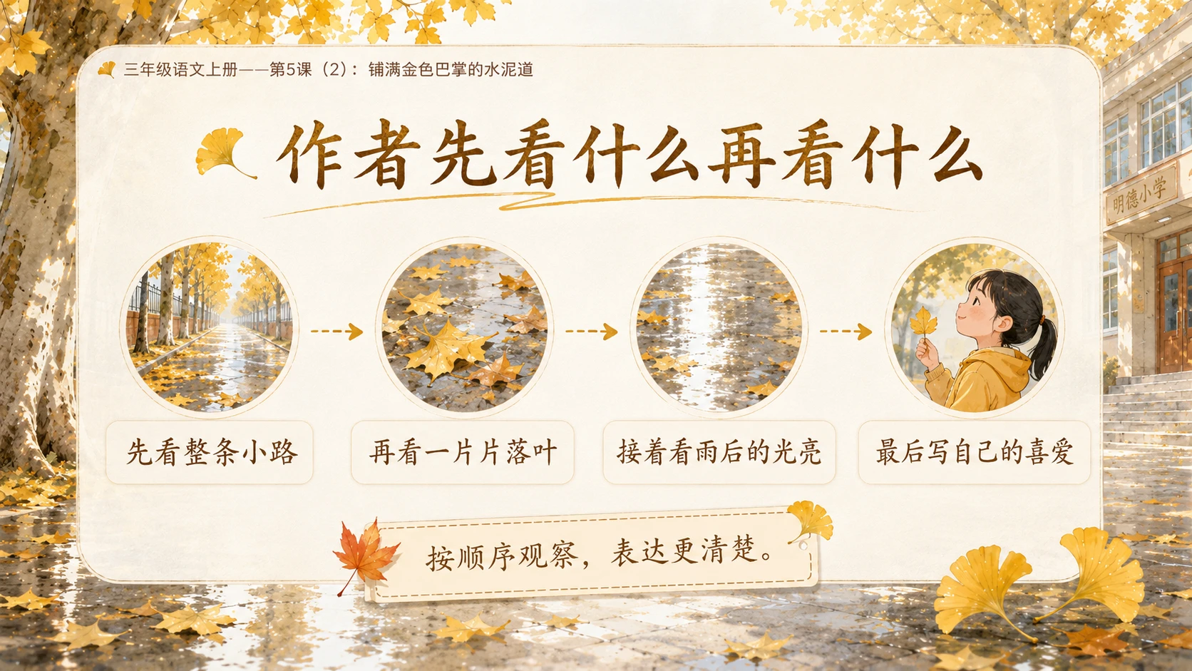 小学六年制统编教材系列课件——三年级语文上册第5课（2）：铺满金色巴掌的水泥道 - 预览图8
