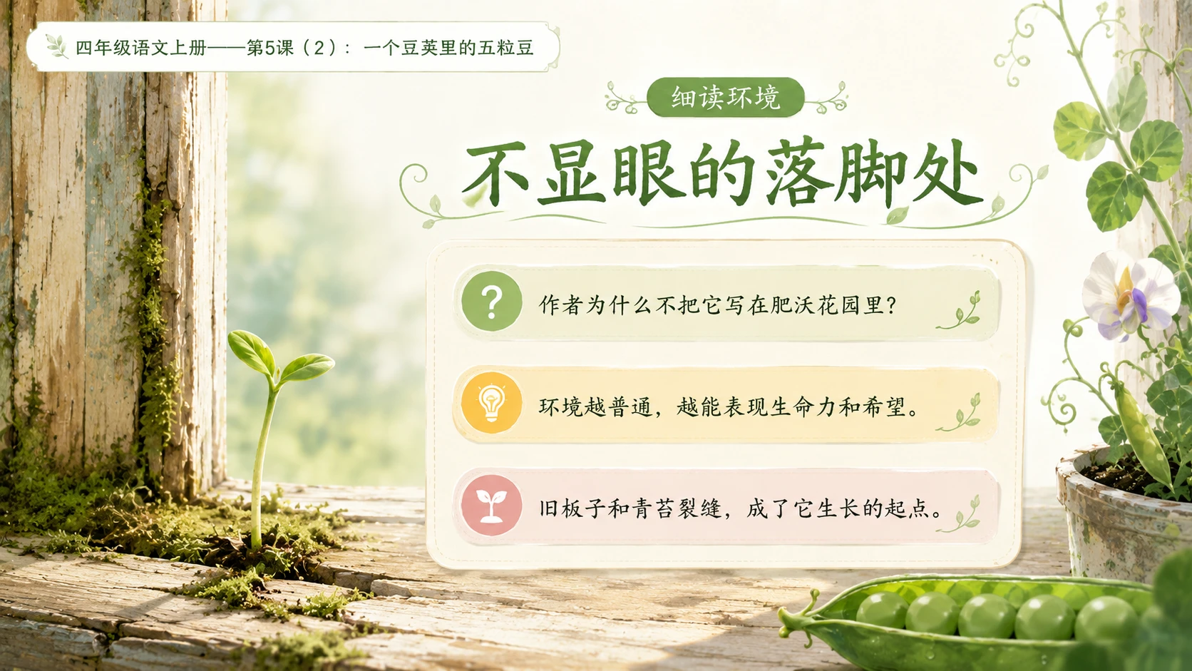 小学六年制统编教材系列课件——四年级语文上册第5课（2）：一个豆荚里的五粒豆 - 预览图4