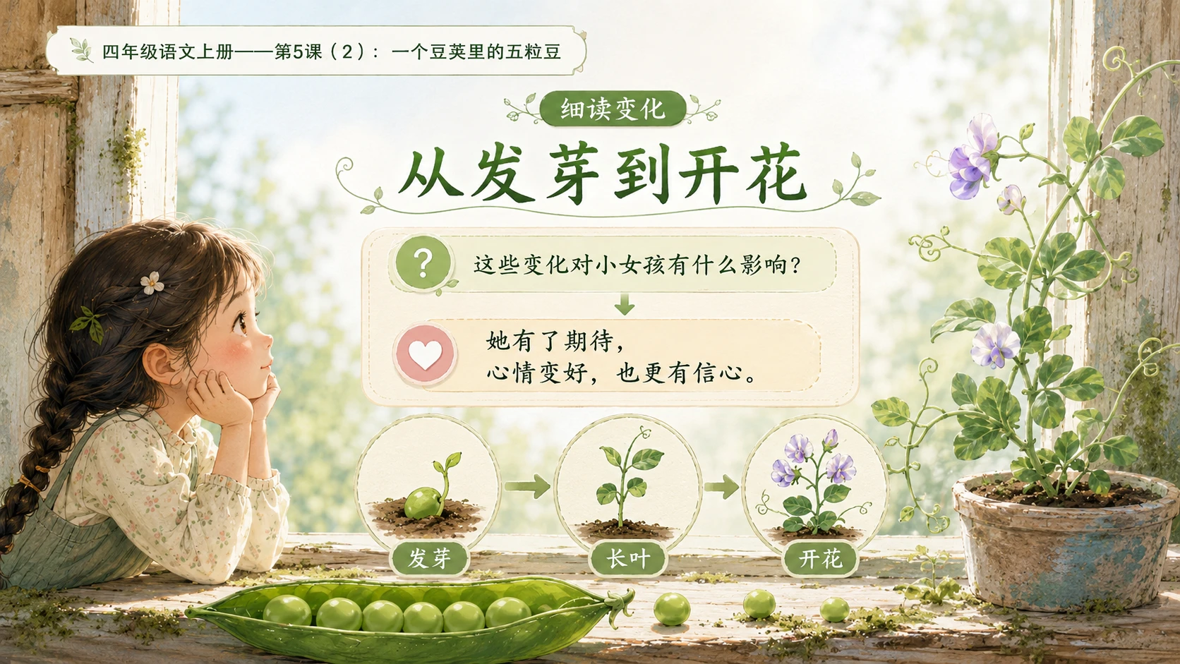 小学六年制统编教材系列课件——四年级语文上册第5课（2）：一个豆荚里的五粒豆 - 预览图5