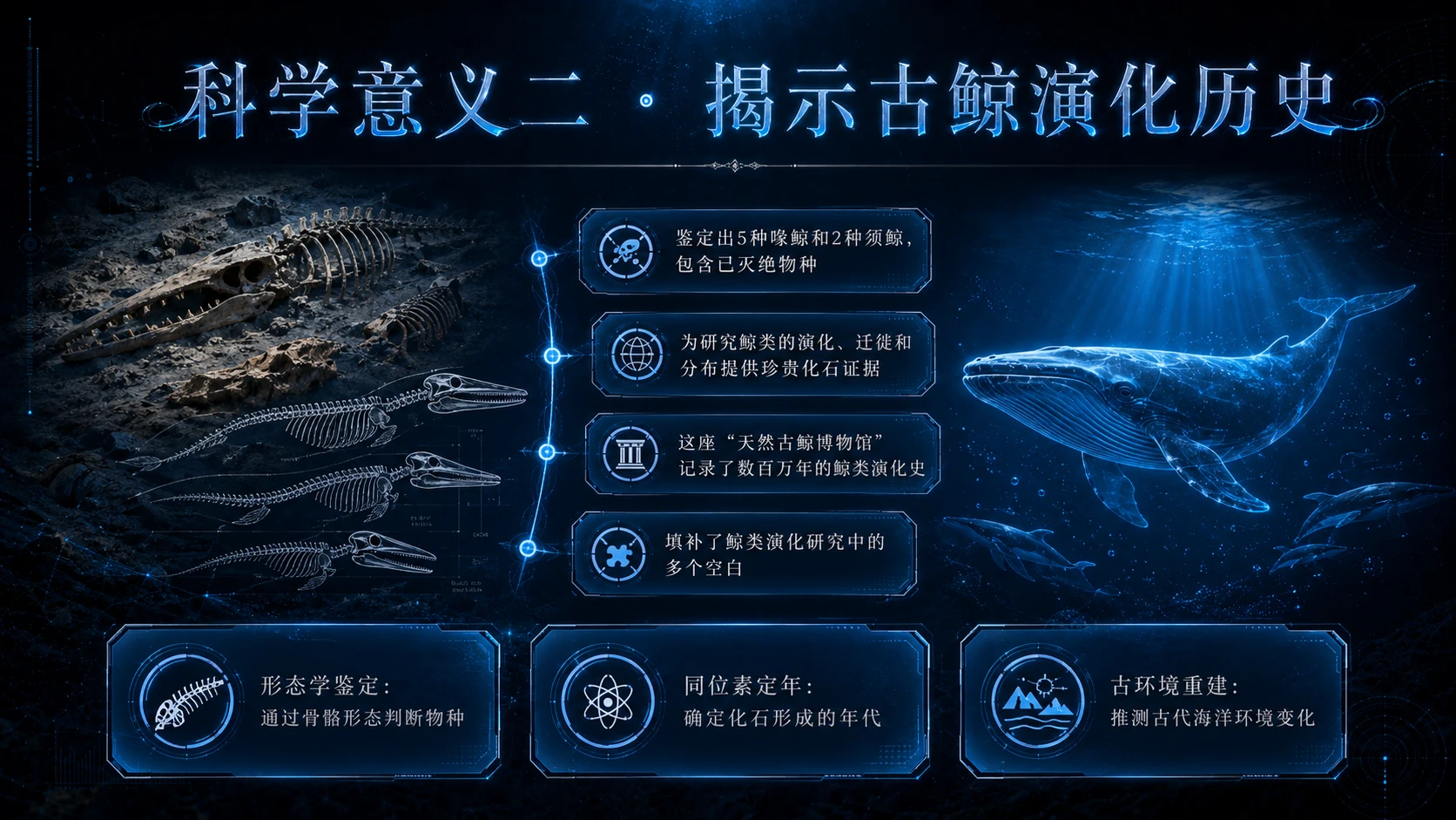 一鲸落 万物生——深海生命绿洲的科学奥秘 - 预览图10