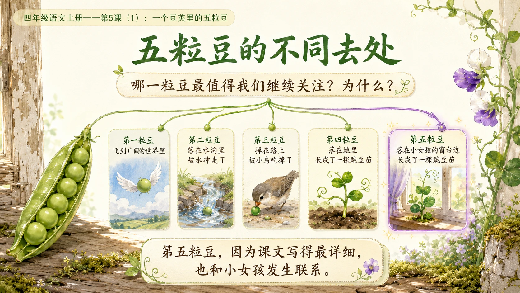 小学六年制统编教材系列课件——四年级语文上册第5课（1）：一个豆荚里的五粒豆（完整资料包） - 预览图7