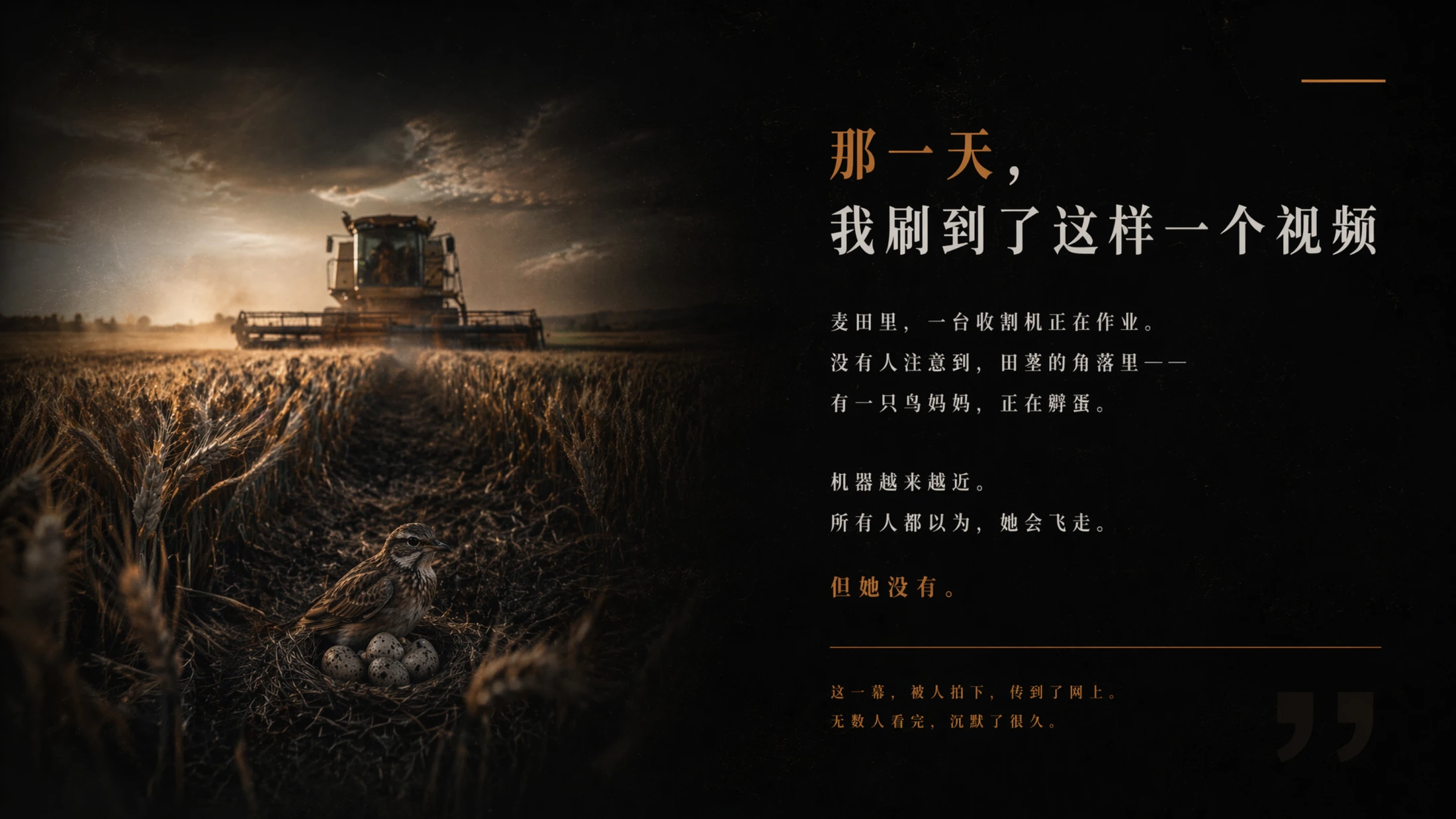 爱，不顾一切 - 预览图2