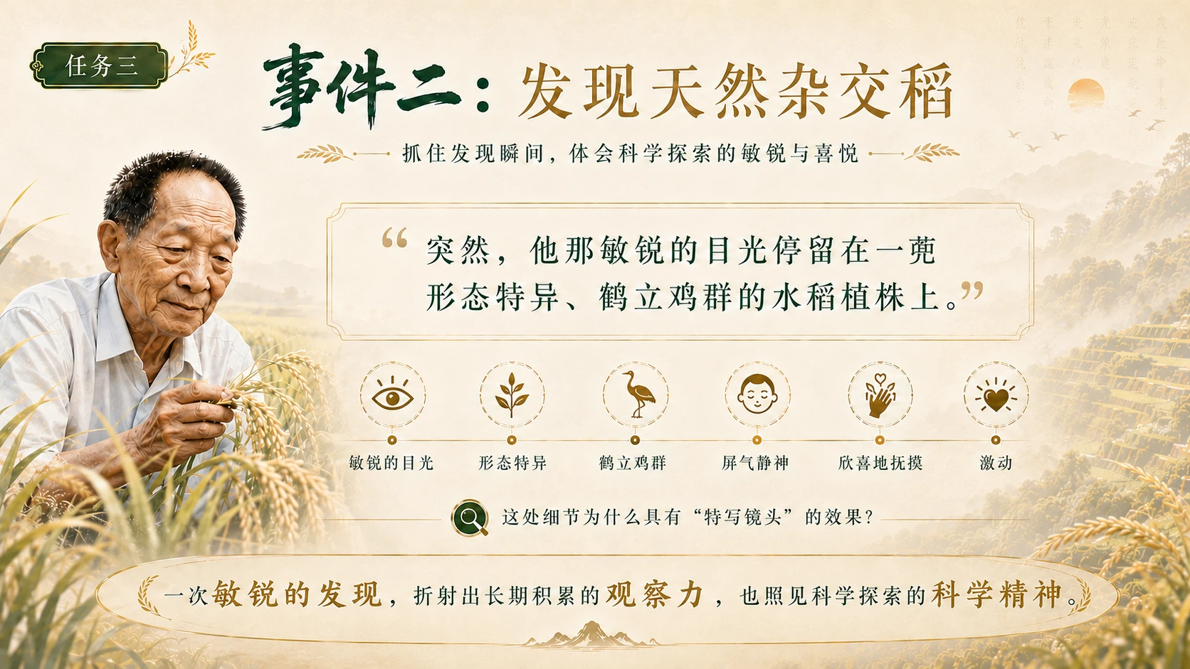 《喜看稻菽千重浪》 - 预览图5