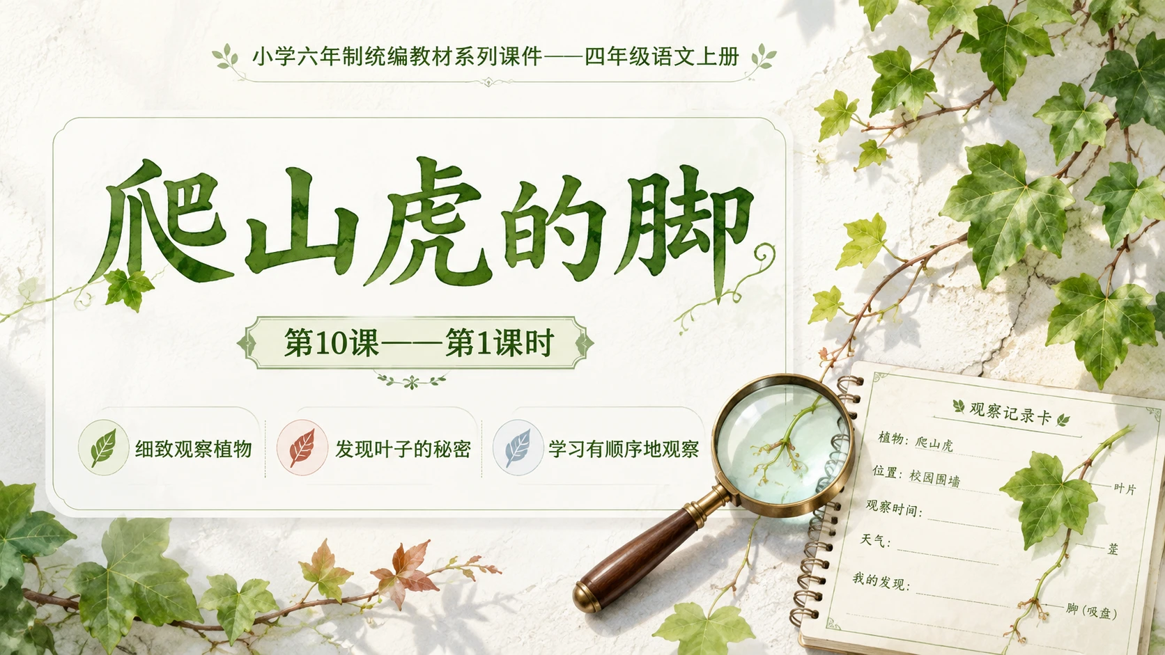 小学六年制统编教材系列课件——四年级语文上册第10课（1）：爬山虎的脚 - 预览图1