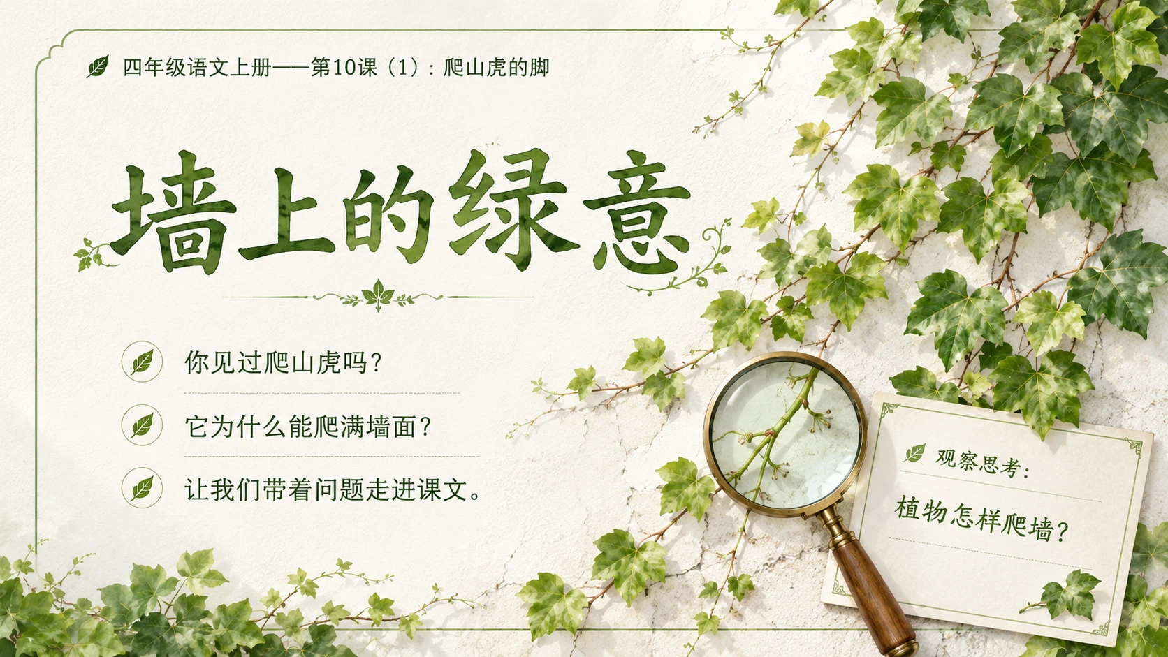 小学六年制统编教材系列课件——四年级语文上册第10课（1）：爬山虎的脚 - 预览图2