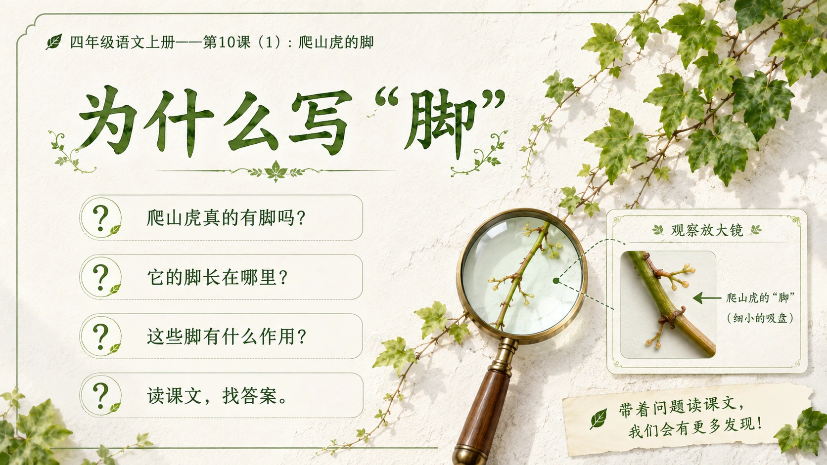 小学六年制统编教材系列课件——四年级语文上册第10课（1）：爬山虎的脚 - 预览图3