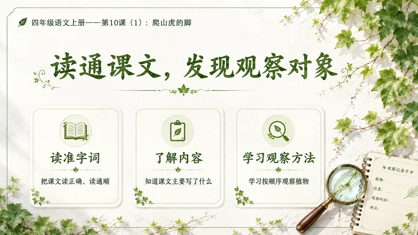 小学六年制统编教材系列课件——四年级语文上册第10课（1）：爬山虎的脚 - 预览图5
