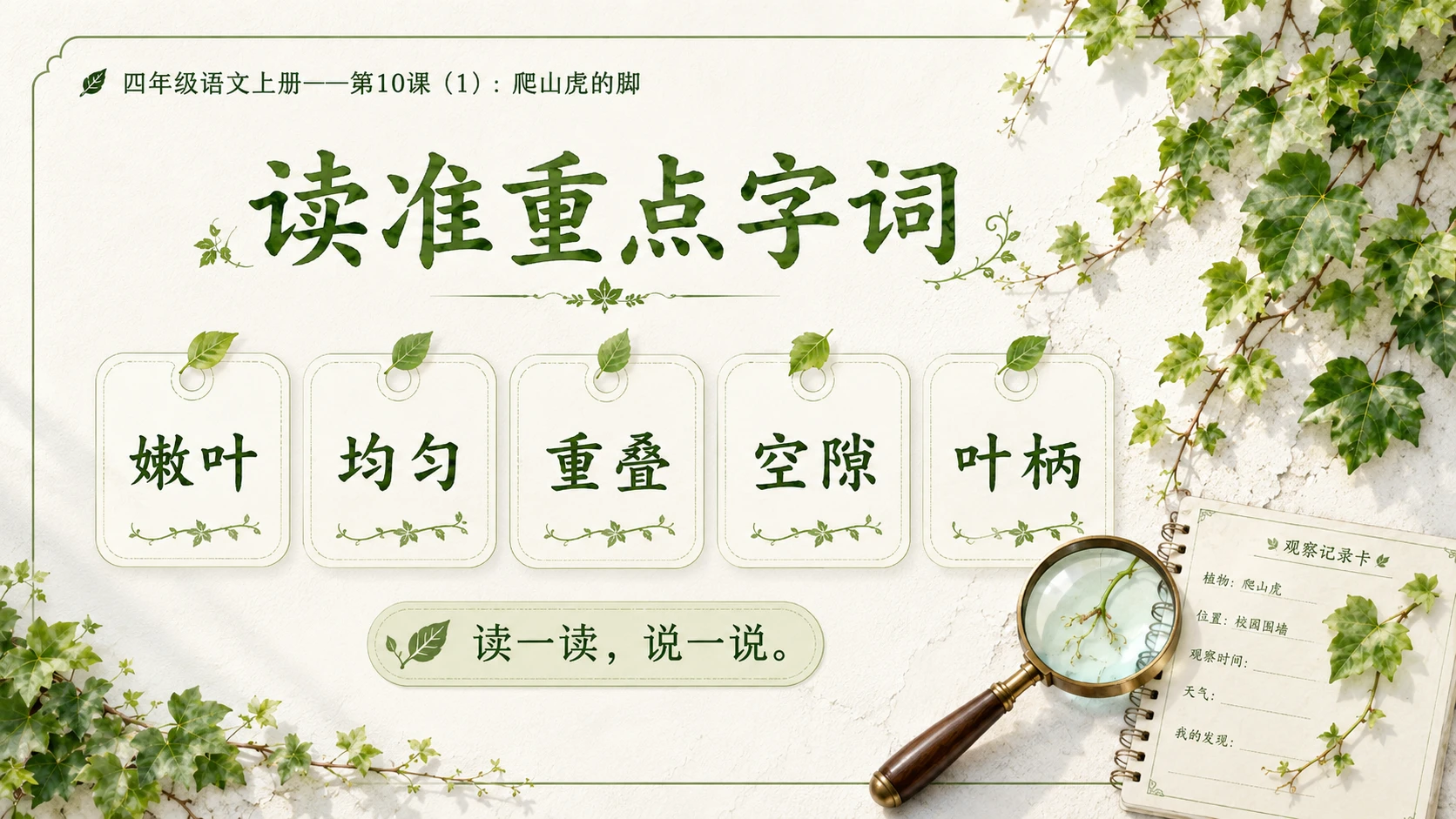 小学六年制统编教材系列课件——四年级语文上册第10课（1）：爬山虎的脚 - 预览图7