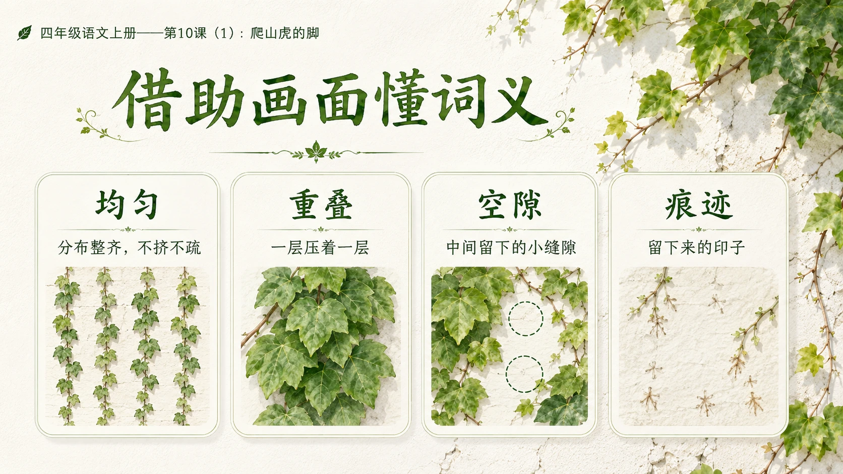 小学六年制统编教材系列课件——四年级语文上册第10课（1）：爬山虎的脚 - 预览图8